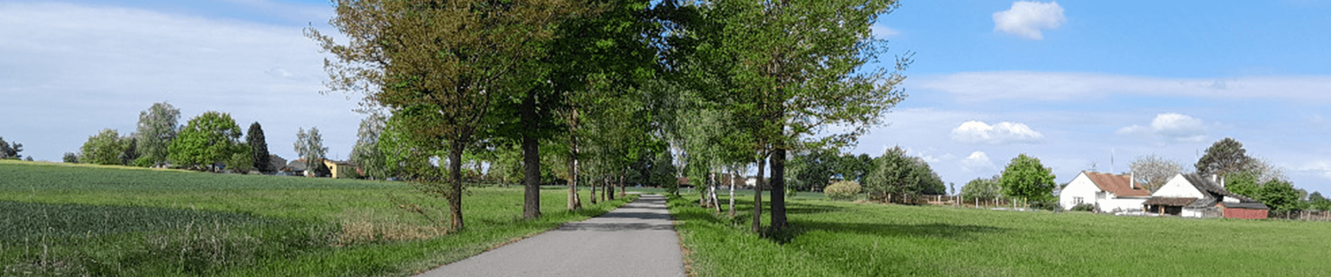 inner page banner